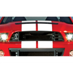 Ford Upper grille 2010-2014 SHELBY GT500
